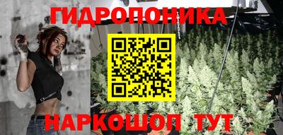 спиды Краснодар