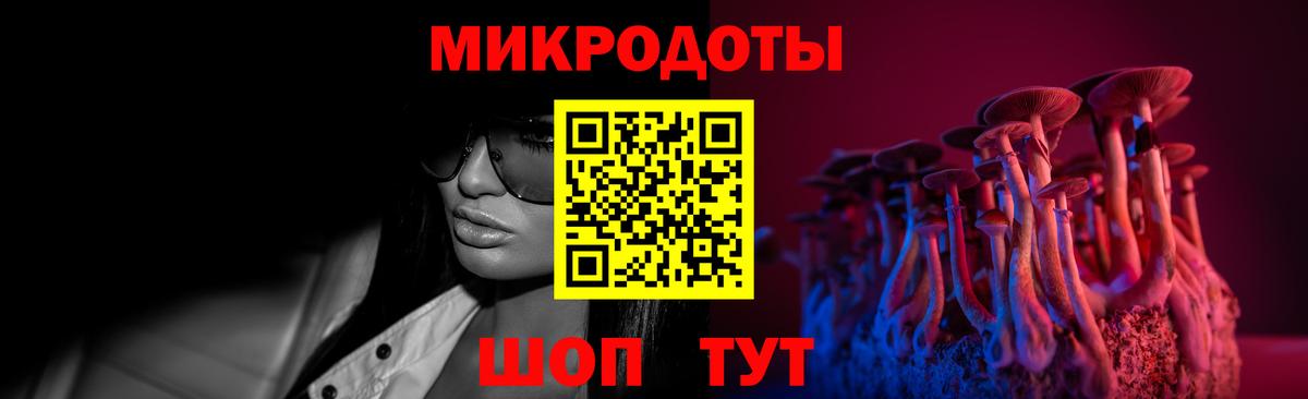 Елизово  Галлюциногенные грибы Psilocybine cubensis  Вход с VPN 